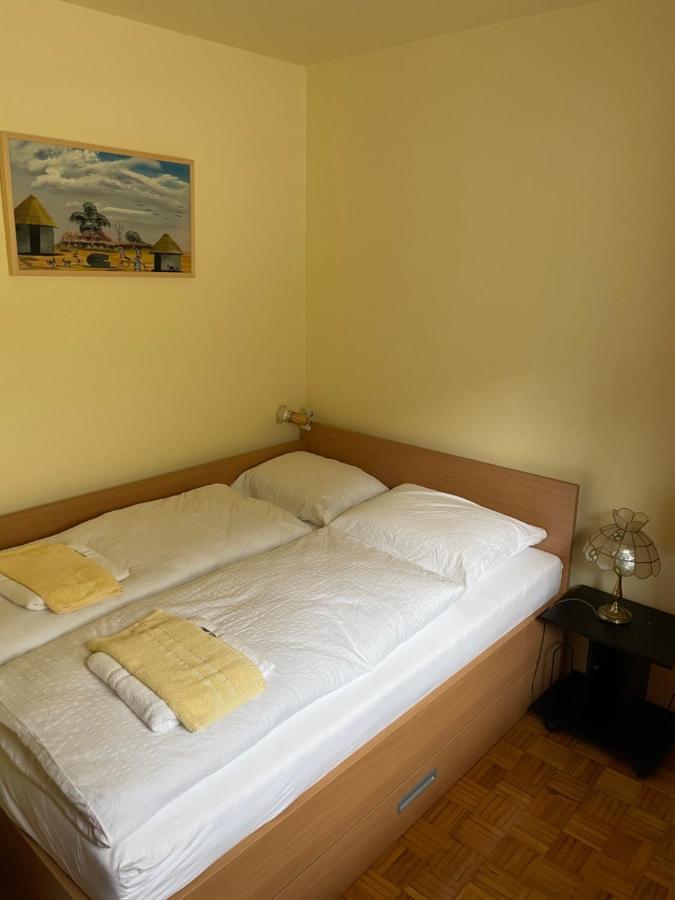 Retro Kaninska Vas Apartman Bovec